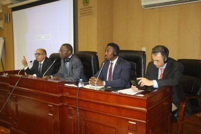 Dr Pamboe, others train team doctors in Cameroon