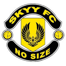 Skyy FC banned from playing home matches in Daboase
