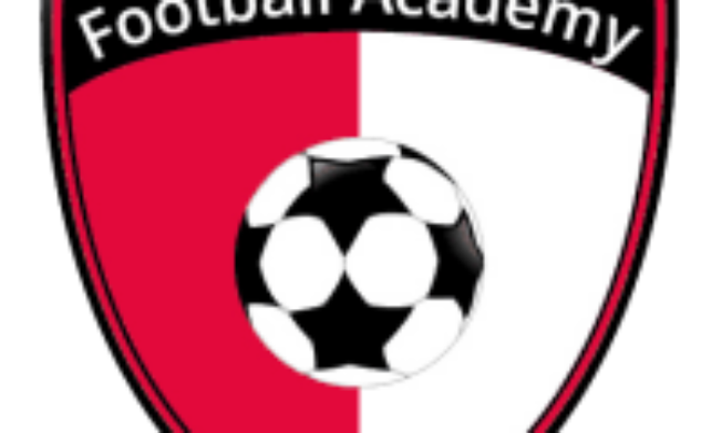 WAFA withdraws from Division One League: Club to focus on youth development in Volta Region